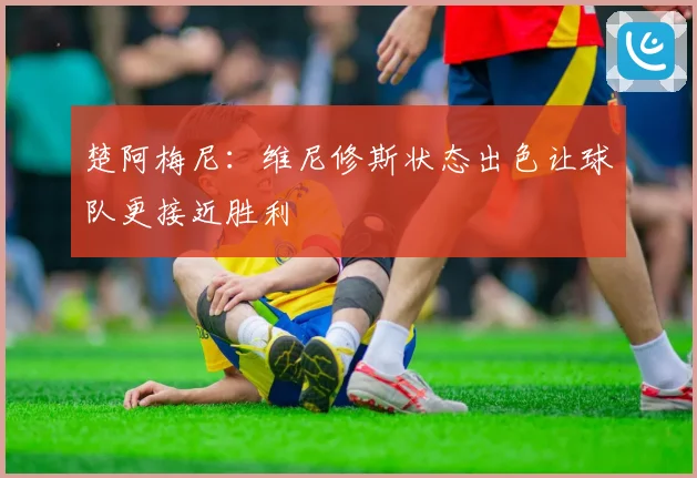 楚阿梅尼：维尼修斯状态出色让球队更接近胜利